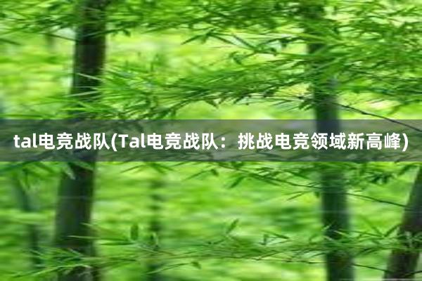 tal电竞战队(Tal电竞战队：挑战电竞领域新高峰)