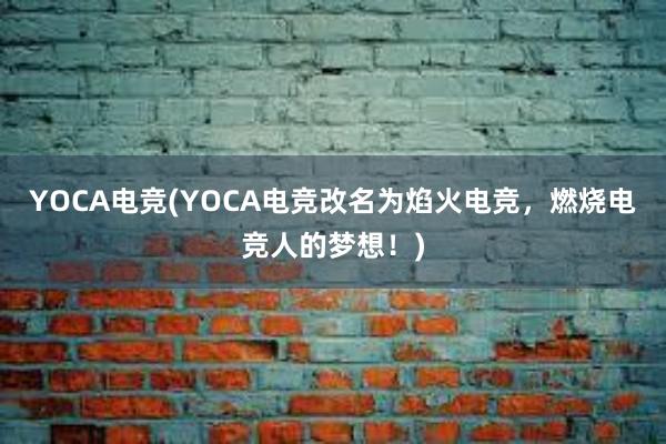 YOCA电竞(YOCA电竞改名为焰火电竞，燃烧电竞人的梦想！)