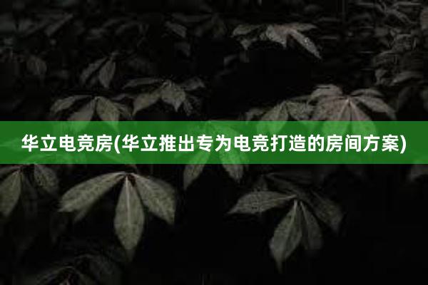 华立电竞房(华立推出专为电竞打造的房间方案)