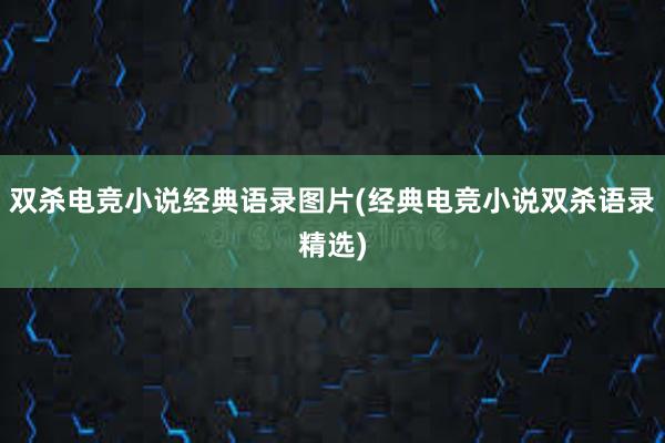 双杀电竞小说经典语录图片(经典电竞小说双杀语录精选)