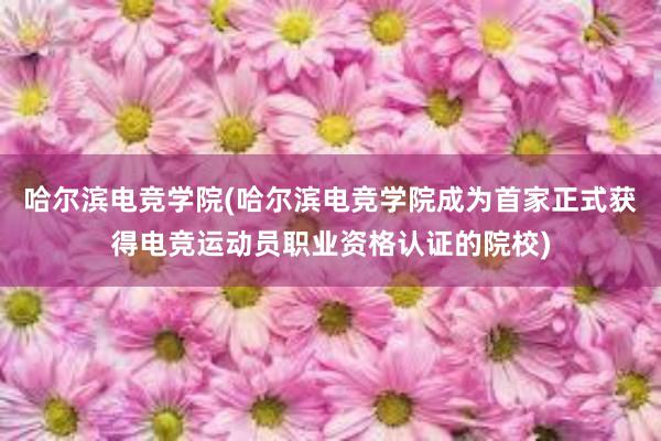 哈尔滨电竞学院(哈尔滨电竞学院成为首家正式获得电竞运动员职业资格认证的院校)