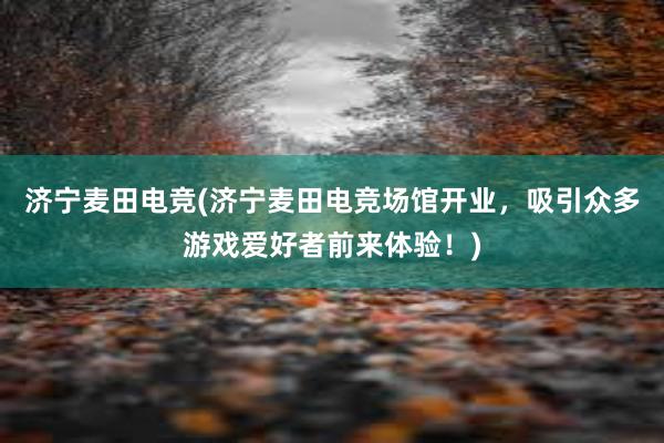 济宁麦田电竞(济宁麦田电竞场馆开业，吸引众多游戏爱好者前来体验！)