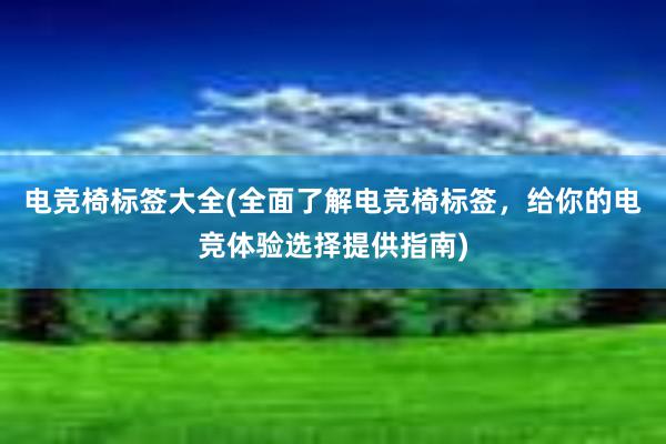 电竞椅标签大全(全面了解电竞椅标签，给你的电竞体验选择提供指南)