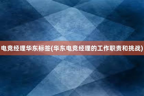 电竞经理华东标签(华东电竞经理的工作职责和挑战)