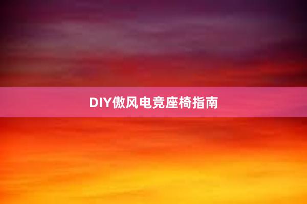 DIY傲风电竞座椅指南