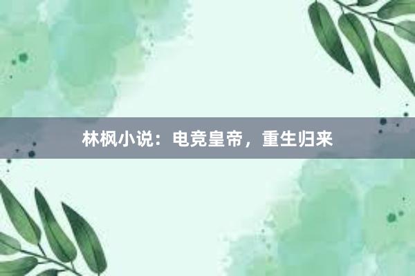 林枫小说：电竞皇帝，重生归来