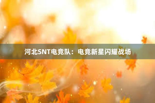 河北SNT电竞队：电竞新星闪耀战场