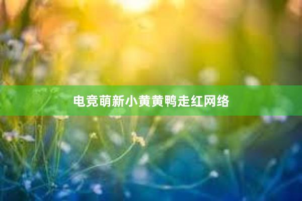 电竞萌新小黄黄鸭走红网络