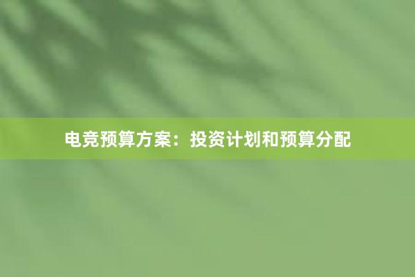 电竞预算方案：投资计划和预算分配