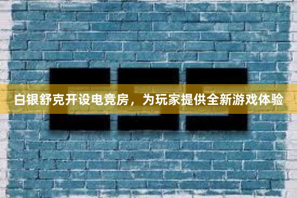 白银舒克开设电竞房，为玩家提供全新游戏体验