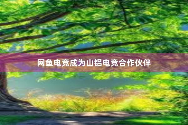 网鱼电竞成为山铝电竞合作伙伴