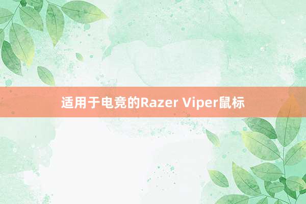 适用于电竞的Razer Viper鼠标